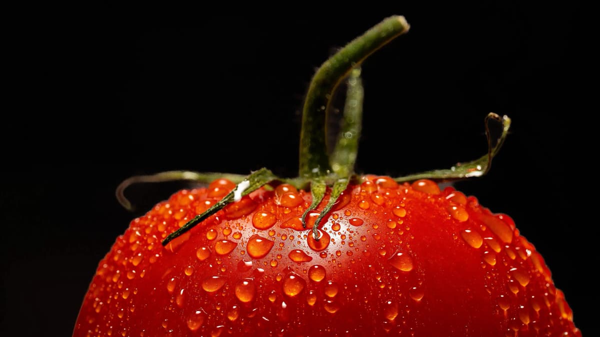 Illustration for Choosing Your First Hydroponic System