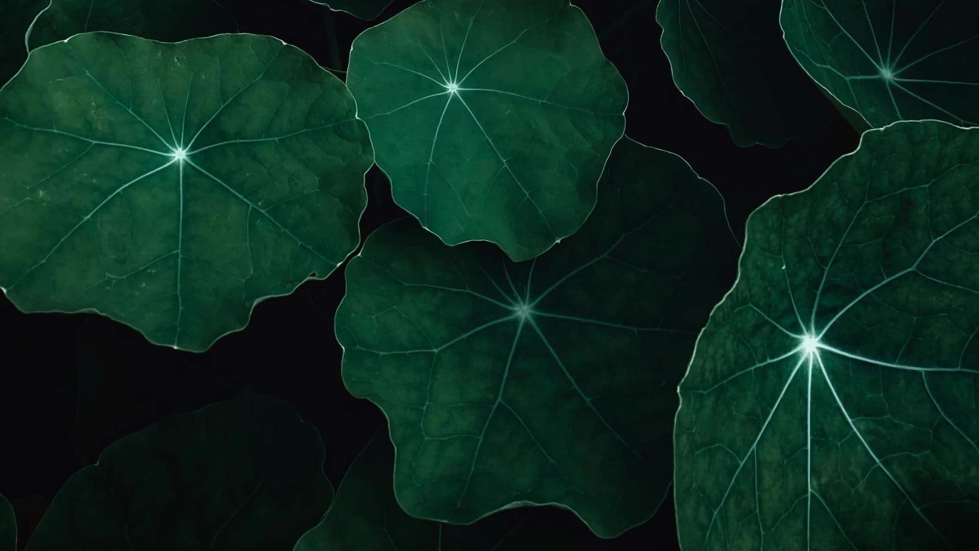 Best Grow Lights UK 2026